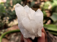 Natural Mixed Quartz Specimens x 24 From Southern Africa