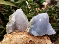 Natural Blue Lace Agate Geode Specimens x 35 From Nsanje, Malawi