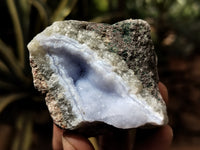 Natural Blue Lace Agate Geode Specimens x 35 From Nsanje, Malawi