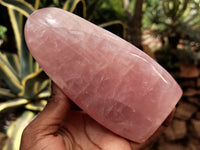 Polished Rose Quartz Standing Free Forms x 2 From Ambatondrazaka, Madagascar