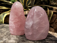 Polished Rose Quartz Standing Free Forms x 2 From Ambatondrazaka, Madagascar