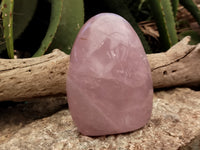 Polished Rose Quartz Standing Free Forms x 2 From Ambatondrazaka, Madagascar