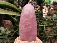 Polished Rose Quartz Standing Free Forms x 2 From Ambatondrazaka, Madagascar