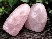 Polished Rose Quartz Standing Free Forms x 2 From Ambatondrazaka, Madagascar