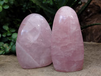 Polished Rose Quartz Standing Free Forms x 2 From Ambatondrazaka, Madagascar