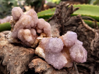 Natural Amethyst Spirit Quartz Clusters x 12 From South Africa