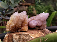 Natural Amethyst Spirit Quartz Clusters x 12 From South Africa