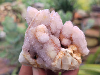 Natural Amethyst Spirit Quartz Clusters x 12 From South Africa