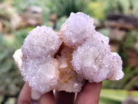 Natural Amethyst Spirit Quartz Clusters x 12 From South Africa