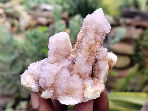 Natural Amethyst Spirit Quartz Clusters x 12 From South Africa