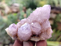 Natural Amethyst Spirit Quartz Clusters x 12 From South Africa