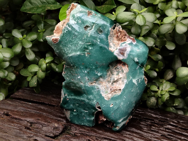 Polished on One Side Emerald Mtorolite Free Form x 1 From Mutorashanga, Zimbabwe