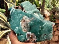 Polished on One Side Emerald Mtorolite Free Form x 1 From Mutorashanga, Zimbabwe