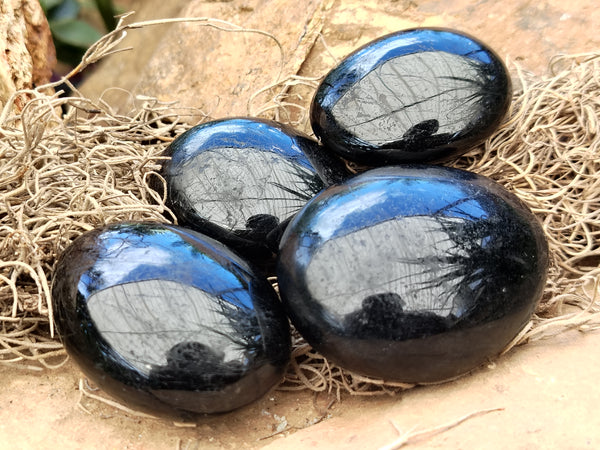 Polished Black Tourmaline Palm Stones x 12 From Madagascar