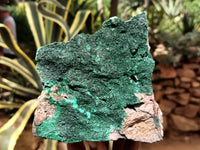 Natural Botryoidal Malachite Specimens x 3 From Tenke Fungurume, Congo