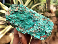 Natural Shattuckite with Chrysocolla and Malachite x 9 From Kaokoveld, Namibia