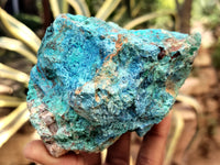 Natural Shattuckite with Chrysocolla and Malachite x 9 From Kaokoveld, Namibia