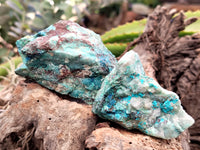 Natural Shattuckite with Chrysocolla and Malachite x 9 From Kaokoveld, Namibia