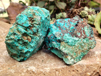 Natural Shattuckite with Chrysocolla and Malachite x 9 From Kaokoveld, Namibia