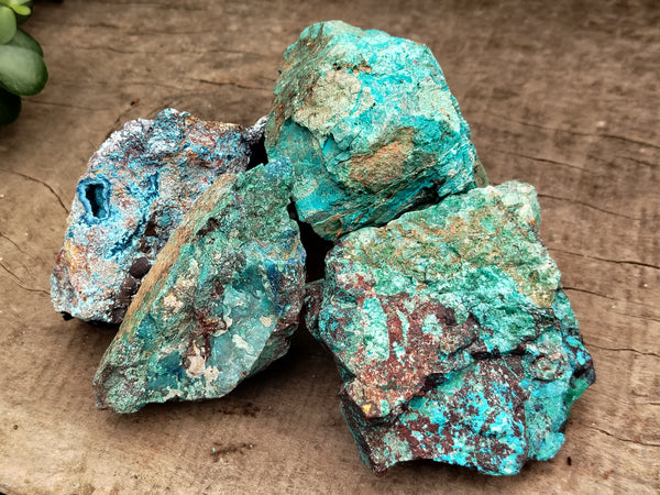 Natural Shattuckite with Chrysocolla and Malachite x 9 From Kaokoveld, Namibia