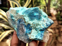 Natural Shattuckite with Chrysocolla and Malachite x 9 From Kaokoveld, Namibia