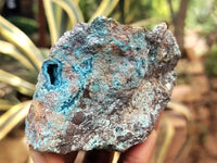 Natural Shattuckite with Chrysocolla and Malachite x 9 From Kaokoveld, Namibia