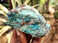 Natural Shattuckite with Chrysocolla and Malachite x 9 From Kaokoveld, Namibia