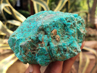 Natural Shattuckite with Chrysocolla and Malachite x 9 From Kaokoveld, Namibia