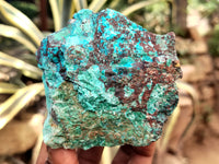 Natural Shattuckite with Chrysocolla and Malachite x 9 From Kaokoveld, Namibia