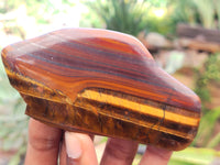 Polished Tiger's Eye Free Forms x 26 From Prieska, South Africa