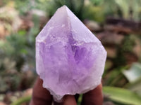 Natural Jacaranda Amethyst Single Quartz Crystals x 12 From Mumbwa, Zambia