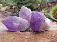 Natural Jacaranda Amethyst Single Quartz Crystals x 12 From Mumbwa, Zambia