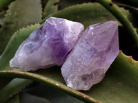 Natural Jacaranda Amethyst Single Quartz Crystals x 12 From Mumbwa, Zambia