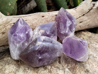 Natural Jacaranda Amethyst Single Quartz Crystals x 12 From Mumbwa, Zambia