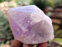 Natural Jacaranda Amethyst Single Quartz Crystals x 12 From Mumbwa, Zambia