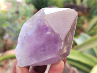 Natural Jacaranda Amethyst Single Quartz Crystals x 12 From Mumbwa, Zambia