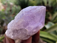 Natural Jacaranda Amethyst Single Quartz Crystals x 12 From Mumbwa, Zambia