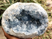 Natural Celestite Geode Specimen x 1 From Sakoany, Madagascar