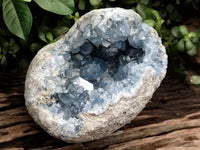 Natural Celestite Geode Specimen x 1 From Sakoany, Madagascar