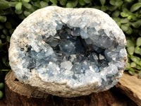 Natural Celestite Geode Specimen x 1 From Sakoany, Madagascar