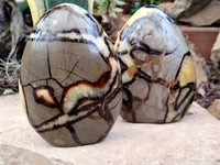 Polished Septerye Standing Free Forms x 2 From Mahajanga, Madagascar