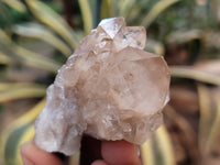 Natural Smokey Phantom Quartz Clusters x 20 From Luena, Congo