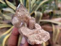 Natural Smokey Phantom Quartz Clusters x 20 From Luena, Congo