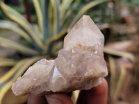 Natural Smokey Phantom Quartz Clusters x 20 From Luena, Congo