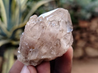 Natural Smokey Phantom Quartz Clusters x 20 From Luena, Congo