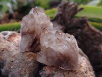 Natural Smokey Phantom Quartz Clusters x 20 From Luena, Congo