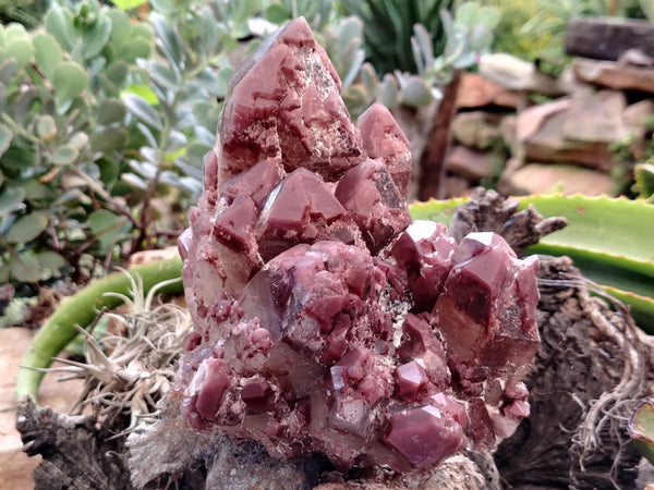 Natural Red Hematoid Quartz Clusters x 2 From Karoi, Zimbabwe