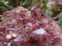 Natural Red Hematoid Quartz Clusters x 2 From Karoi, Zimbabwe