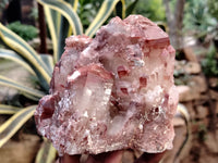 Natural Red Hematoid Quartz Clusters x 2 From Karoi, Zimbabwe