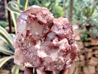 Natural Red Hematoid Quartz Clusters x 2 From Karoi, Zimbabwe